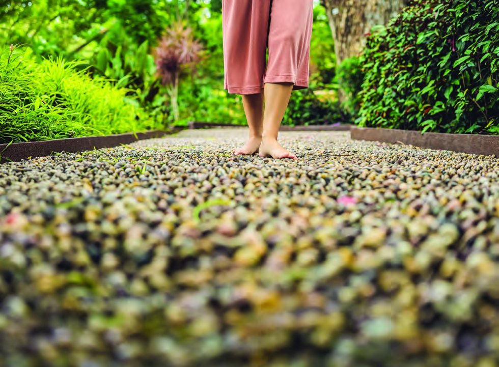 Reflexology Path